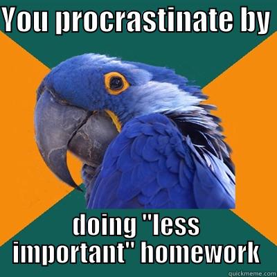 YOU PROCRASTINATE BY  DOING 