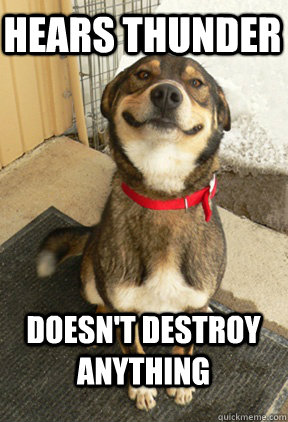 Hears Thunder Doesn't destroy anything  Good Dog Greg