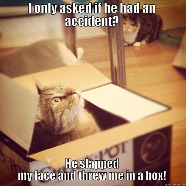 Guaranteed Pet Odor Removal - I ONLY ASKED IF HE HAD AN ACCIDENT? HE SLAPPED MY FACE AND THREW ME IN A BOX! Cats wife