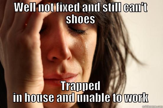 WELL NOT FIXED AND STILL CAN'T SHOES TRAPPED IN HOUSE AND UNABLE TO WORK First World Problems