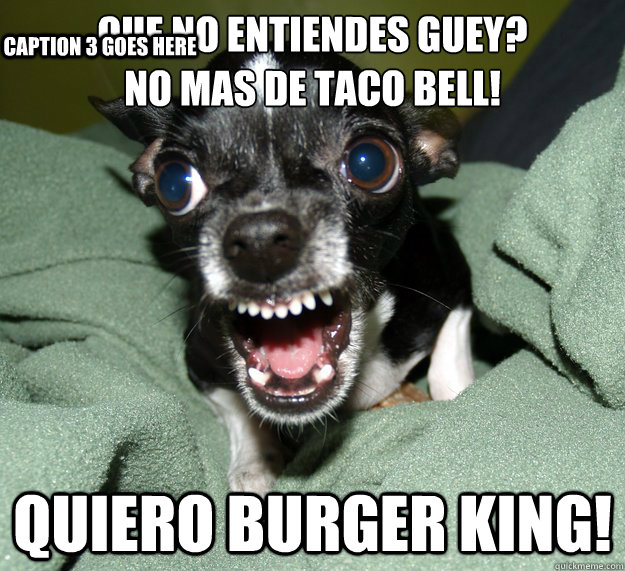 Que no entiendes Guey? 
No mas de Taco Bell!  Quiero Burger King! Caption 3 goes here - Que no entiendes Guey? 
No mas de Taco Bell!  Quiero Burger King! Caption 3 goes here  Chihuahua Logic