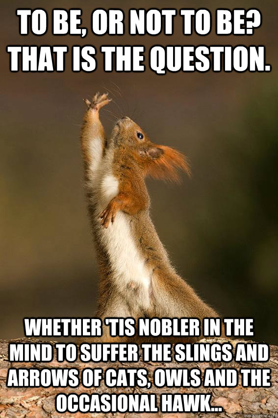 To be, or not to be? that is the question. Whether 'tis nobler in the mind to suffer the slings and arrows of cats, owls and the occasional hawk...  Shakespeare Squirrel