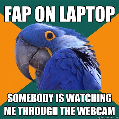 FAP ON LAPTOP SOMEBODY IS WATCHING ME THROUGH THE WEBCAM  Paranoid Parrot