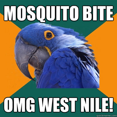 mosquito bite omg west nile!  Paranoid Parrot