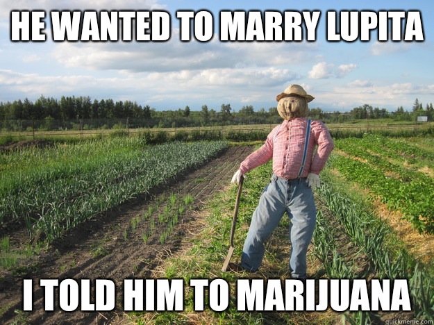 He wanted to marry Lupita I told him to marijuana  Scarecrow
