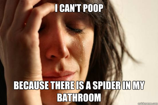 I can't poop because there is a spider in my bathroom  First World Problems