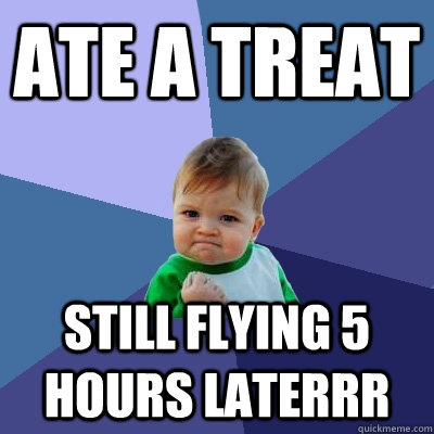 Ate a treat still flying 5 hours laterrr  Success Kid