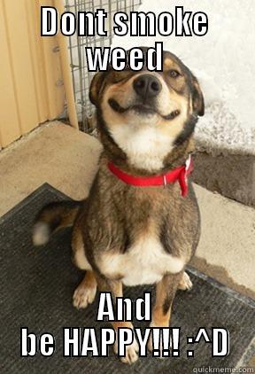 DONT SMOKE WEED AND BE HAPPY!!! :^D Good Dog Greg