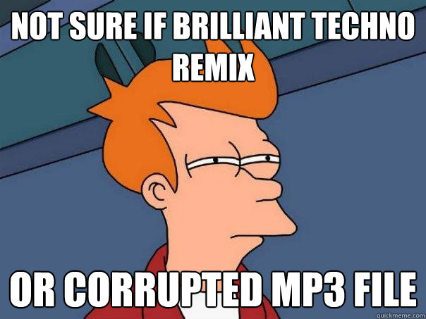 not sure if brilliant techno remix or corrupted mp3 file  Futurama Fry