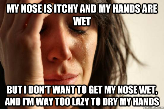 My nose is itchy and my hands are wet but I don't want to get my nose wet, and I'm way too lazy to dry my hands  First World Problems
