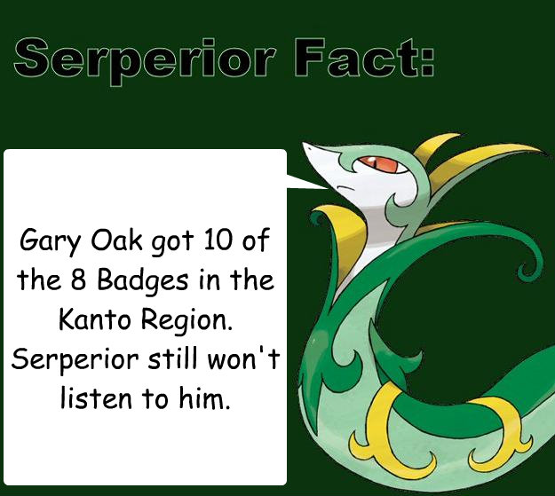 Gary Oak got 10 of the 8 Badges in the Kanto Region.  Serperior still won't listen to him.  Serperior Facts