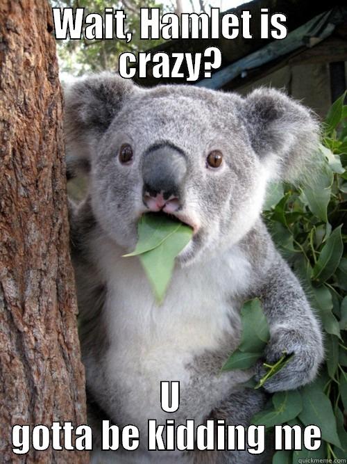 WAIT, HAMLET IS CRAZY? U GOTTA BE KIDDING ME  koala bear