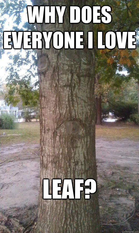 Why does everyone I love Leaf? - Why does everyone I love Leaf?  Sad Tree
