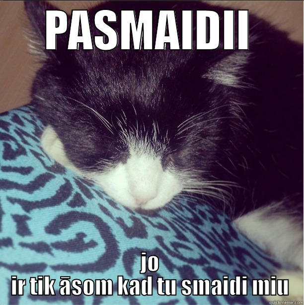 zkai 123412 4 - PASMAIDII JO IR TIK ĀSOM KAD TU SMAIDI MIU Misc