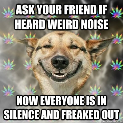 Ask your friend if heard weird noise Now everyone is in silence and freaked out  Stoner Dog