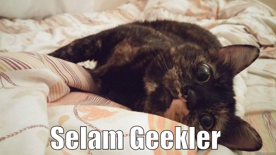  SELAM GEEKLER Misc