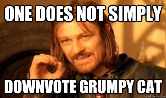 One does not simply downvote grumpy cat  One Does Not Simply Call You