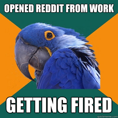 opened reddit from work getting fired  Paranoid Parrot