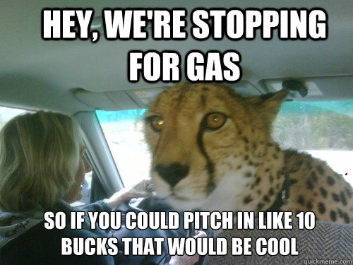 hey, we're stopping for gas so if you could pitch in like 10 bucks that would be cool  