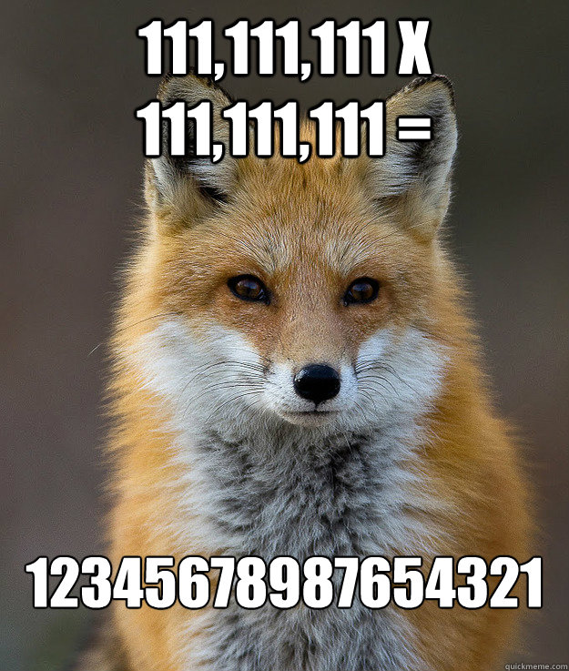 111,111,111 x 111,111,111 = 12345678987654321 - 111,111,111 x 111,111,111 = 12345678987654321  Fun Fact Fox