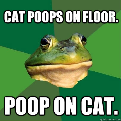 Cat poops on floor. Poop on cat. - Cat poops on floor. Poop on cat.  Foul Bachelor Frog