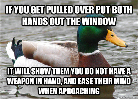 If you get pulled over put both hands out the window it will show them you do not have a weapon in hand, and ease their mind when aproaching  Actual Advice Mallard