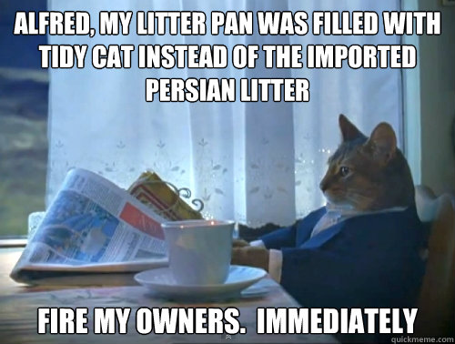 Alfred, my litter pan was filled with tidy cat instead of the imported persian litter Fire my owners.  Immediately  The One Percent Cat
