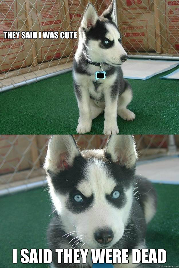 THEY SAID I WAS CUTE I SAID THEY WERE DEAD  Insanity puppy