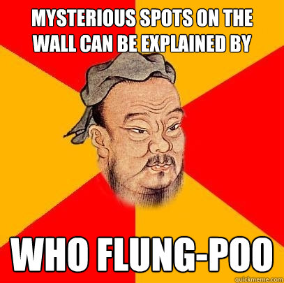 Mysterious spots on the wall can be explained by who flung-poo - Mysterious spots on the wall can be explained by who flung-poo  Confucius says