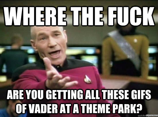Where the fuck Are you getting all these gifs of vader at a theme park?  Annoyed Picard HD