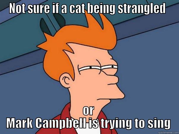 NOT SURE IF A CAT BEING STRANGLED  OR MARK CAMPBELL IS TRYING TO SING Futurama Fry