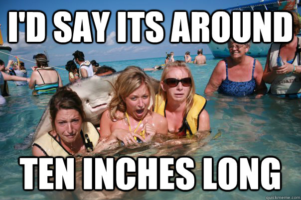 I'D SAY ITS AROUND TEN INCHES LONG  Pervert Stingray