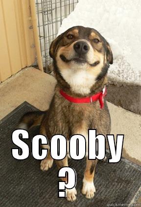  SCOOBY ? Good Dog Greg