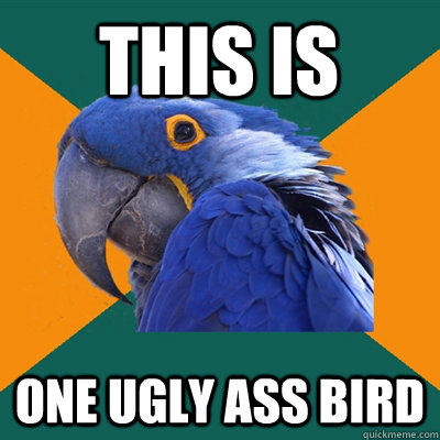 this is one ugly ass bird - this is one ugly ass bird  Paranoid Parrot