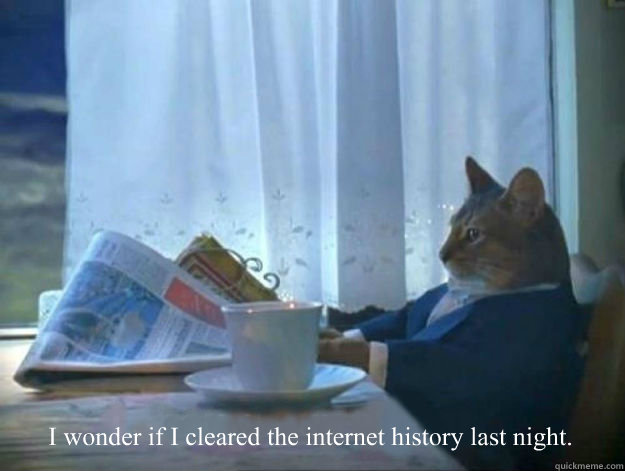  I wonder if I cleared the internet history last night. -  I wonder if I cleared the internet history last night.  Average Dad Cat