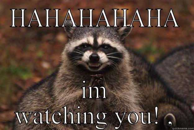 HAHAHAHAHA IM WATCHING YOU! , Evil Plotting Raccoon