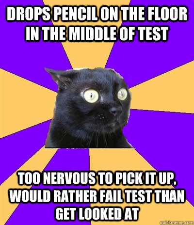 Drops pencil on the floor in the middle of test too nervous to pick it up, would rather fail test than get looked at  Anxiety Cat