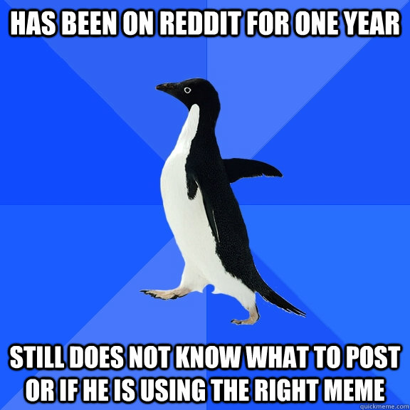 Has been on reddit for one year still does not know what to post or if he is using the right meme  Socially Awkward Penguin