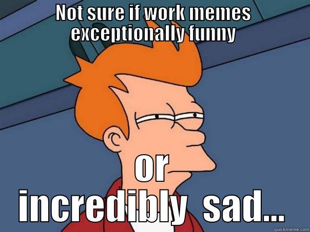 work memes funny or sad - NOT SURE IF WORK MEMES EXCEPTIONALLY FUNNY OR INCREDIBLY  SAD... Futurama Fry