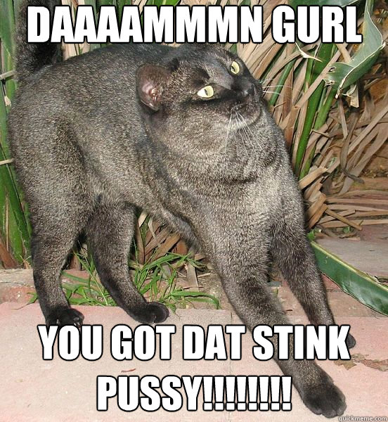 DAAAAMMMN GURL
 YOU GOT DAT STINK PUSSY!!!!!!!! - DAAAAMMMN GURL
 YOU GOT DAT STINK PUSSY!!!!!!!!  Frightened Kitteh