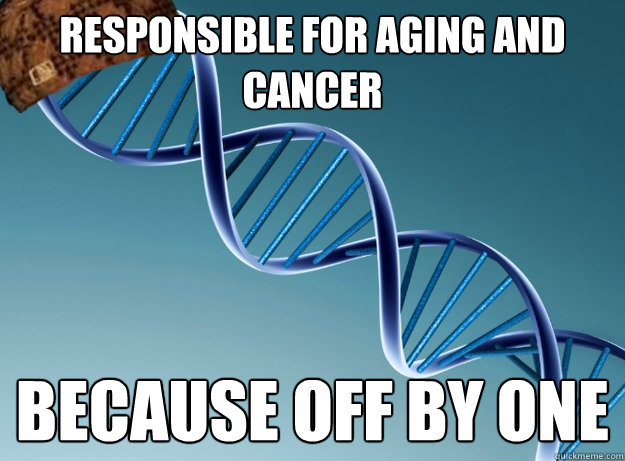Responsible for Aging and cancer Because off by one  - Responsible for Aging and cancer Because off by one   Scumbag Genetics