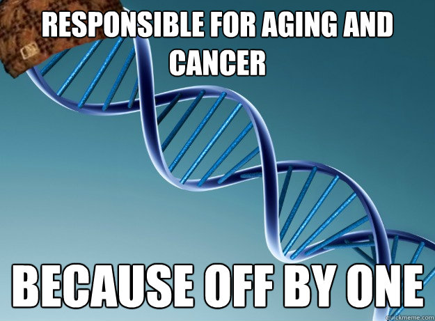 Responsible for Aging and cancer Because off by one   Scumbag Genetics
