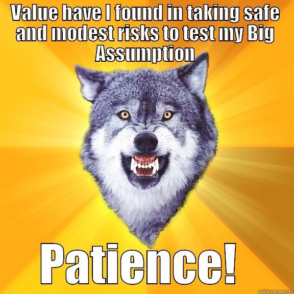 VALUE HAVE I FOUND IN TAKING SAFE AND MODEST RISKS TO TEST MY BIG ASSUMPTION PATIENCE!  Courage Wolf