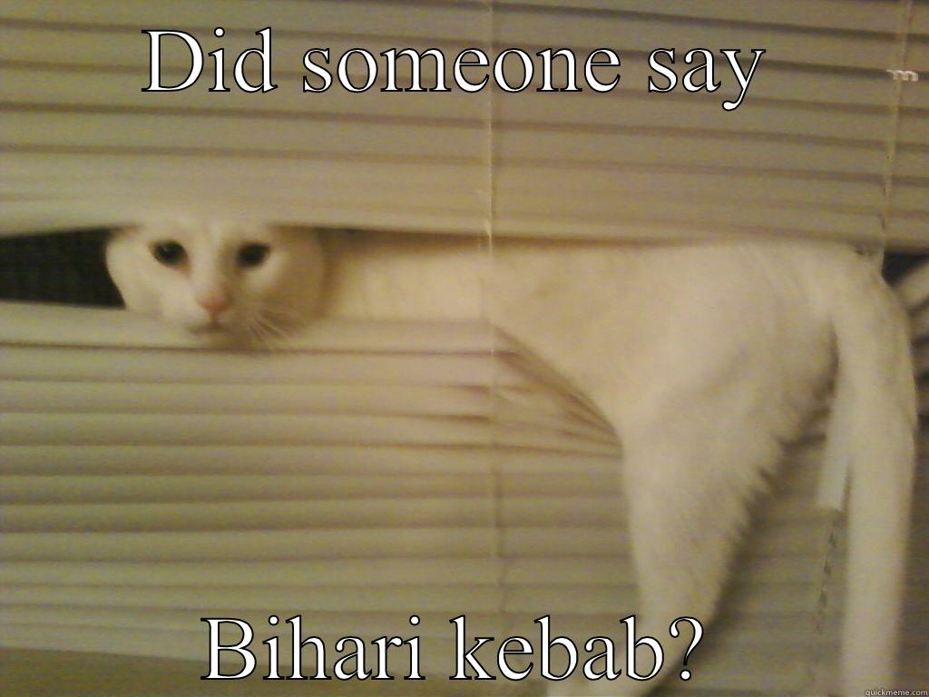 DID SOMEONE SAY BIHARI KEBAB? Misc