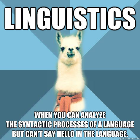 Linguistics When you can analyze
the syntactic processes of a language
but can't say hello in the language. - Linguistics When you can analyze
the syntactic processes of a language
but can't say hello in the language.  Linguist Llama