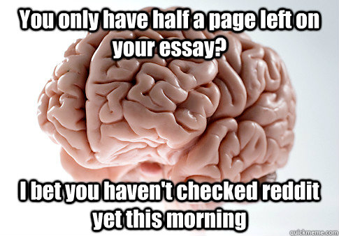 You only have half a page left on your essay? I bet you haven't checked reddit yet this morning   Scumbag Brain
