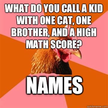 What do you call a kid with one cat, one brother, and a high math score? names  Anti-Joke Chicken