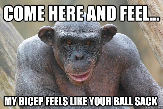 come here and feel... my bicep feels like your ball sack  The Most Interesting Chimp In The World