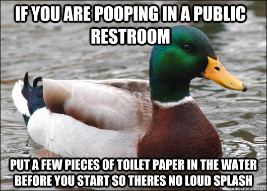 If you are pooping in a public restroom put a few pieces of toilet paper in the water before you start so theres no loud splash - If you are pooping in a public restroom put a few pieces of toilet paper in the water before you start so theres no loud splash  Actual Advice Mallard