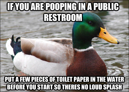 If you are pooping in a public restroom put a few pieces of toilet paper in the water before you start so theres no loud splash  Actual Advice Mallard